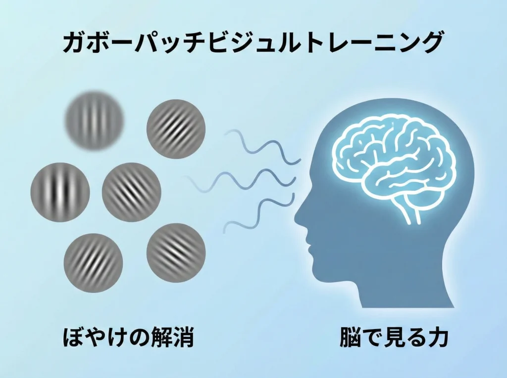 ガボール・パッチ視覚訓練